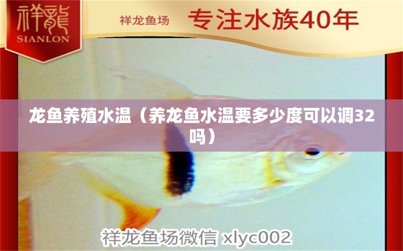 龍魚(yú)養(yǎng)殖水溫（養(yǎng)龍魚(yú)水溫要多少度可以調(diào)32嗎） 朱巴利魚(yú)苗 第1張