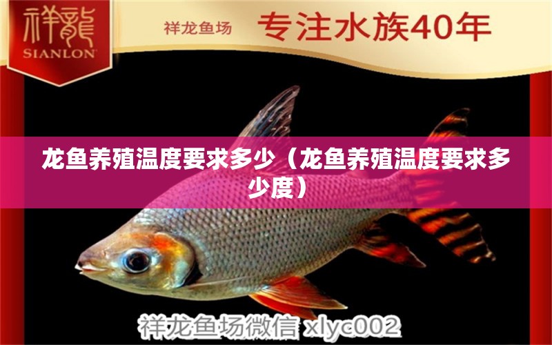 龍魚養(yǎng)殖溫度要求多少（龍魚養(yǎng)殖溫度要求多少度）