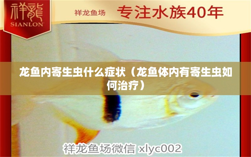 龍魚內(nèi)寄生蟲什么癥狀（龍魚體內(nèi)有寄生蟲如何治療）