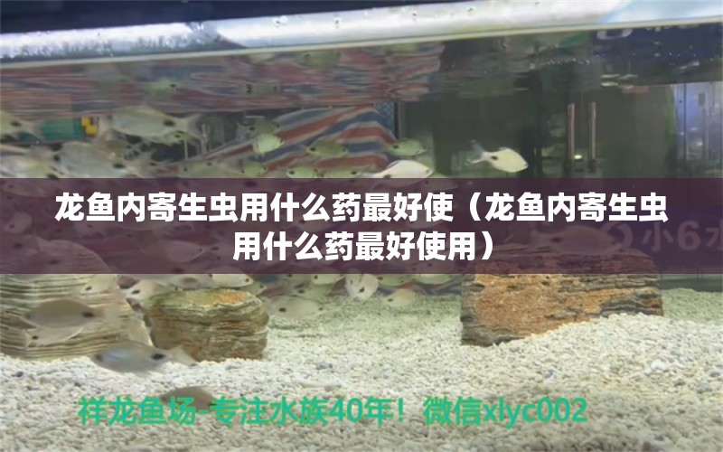 龍魚內(nèi)寄生蟲用什么藥最好使（龍魚內(nèi)寄生蟲用什么藥最好使用）