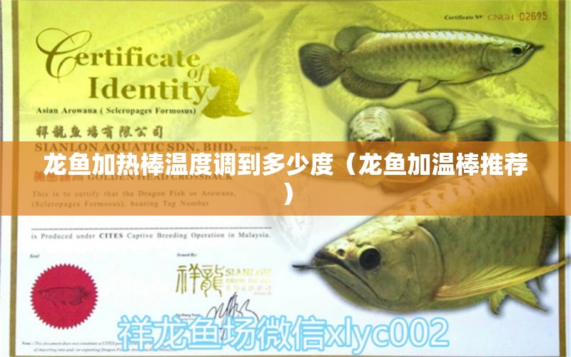 龍魚加熱棒溫度調(diào)到多少度（龍魚加溫棒推薦）