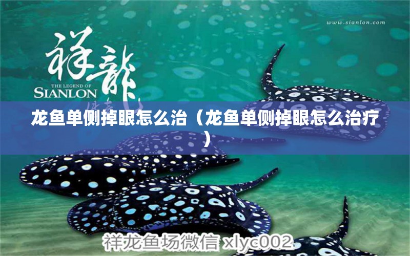 龍魚單側(cè)掉眼怎么治（龍魚單側(cè)掉眼怎么治療）