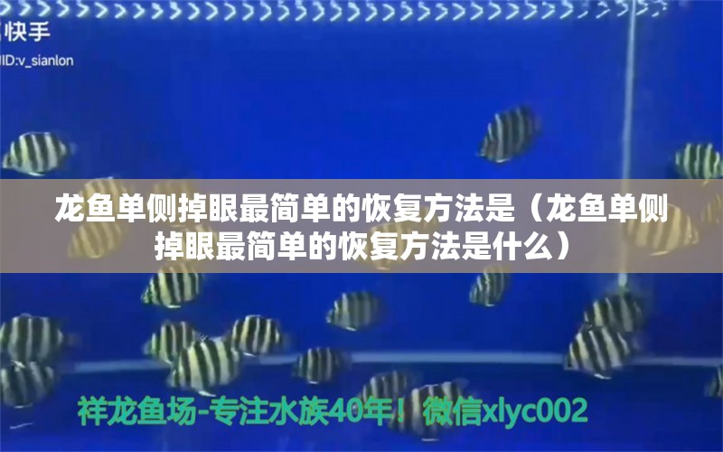 龍魚單側(cè)掉眼最簡(jiǎn)單的恢復(fù)方法是（龍魚單側(cè)掉眼最簡(jiǎn)單的恢復(fù)方法是什么）