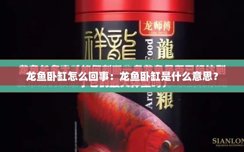 龍魚臥缸怎么回事：龍魚臥缸是什么意思？