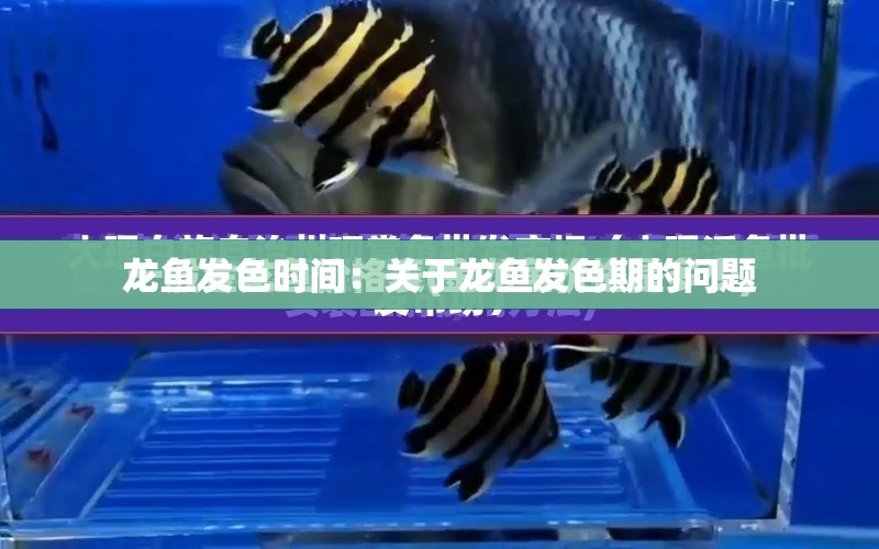 龍魚發(fā)色時(shí)間：關(guān)于龍魚發(fā)色期的問題 水族問答 第1張