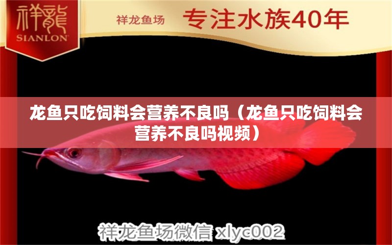 龍魚只吃飼料會(huì)營(yíng)養(yǎng)不良嗎（龍魚只吃飼料會(huì)營(yíng)養(yǎng)不良嗎視頻）