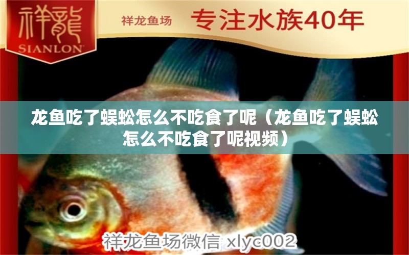 龍魚吃了蜈蚣怎么不吃食了呢（龍魚吃了蜈蚣怎么不吃食了呢視頻）