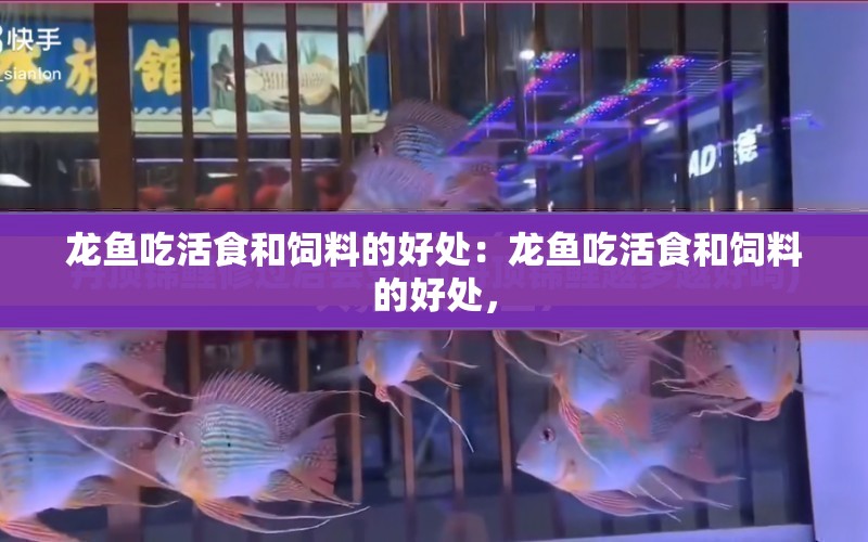 龍魚吃活食和飼料的好處：龍魚吃活食和飼料的好處， 水族問答 第1張