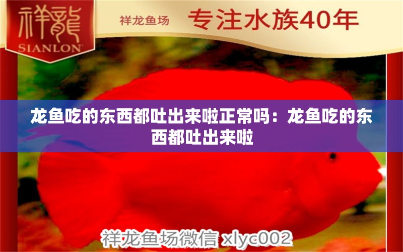 龍魚吃的東西都吐出來啦正常嗎：龍魚吃的東西都吐出來啦 龍魚百科 第2張