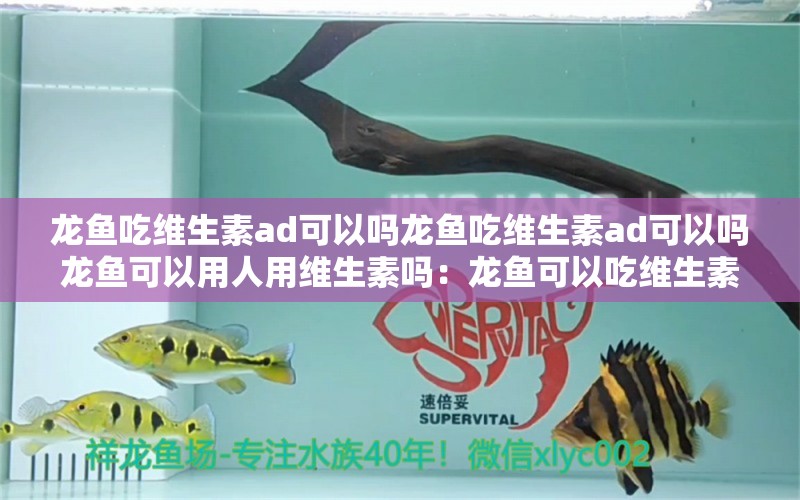 龍魚吃維生素ad可以嗎龍魚吃維生素ad可以嗎龍魚可以用人用維生素嗎：龍魚可以吃維生素ad以及龍魚是否可以用人用維生素 龍魚百科 第2張