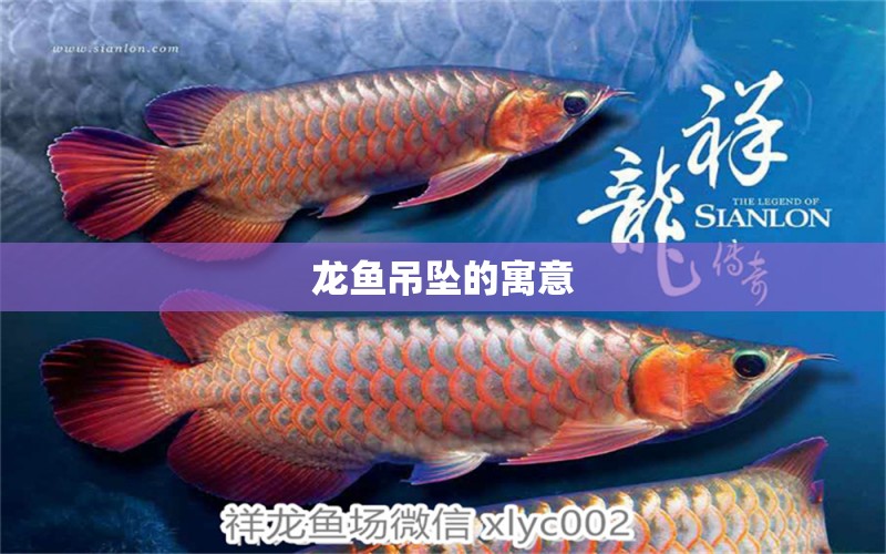 龍魚吊墜的寓意