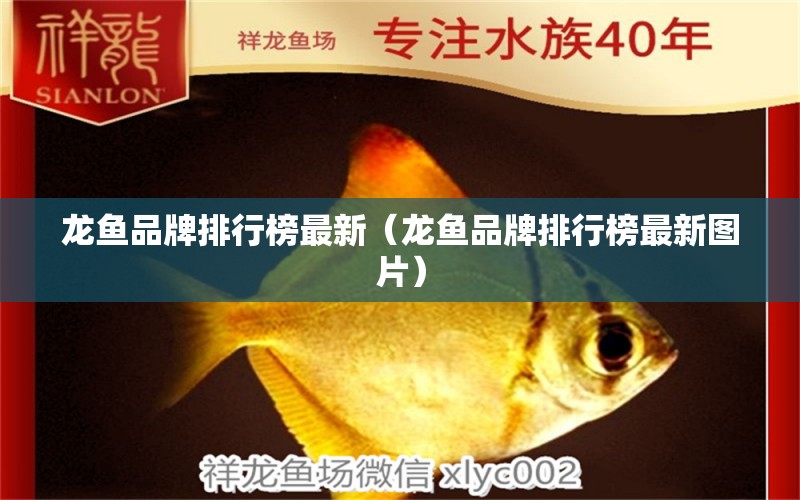 龍魚品牌排行榜最新（龍魚品牌排行榜最新圖片）