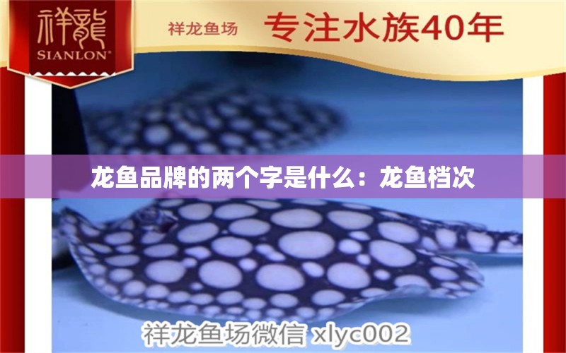 龍魚品牌的兩個字是什么：龍魚檔次