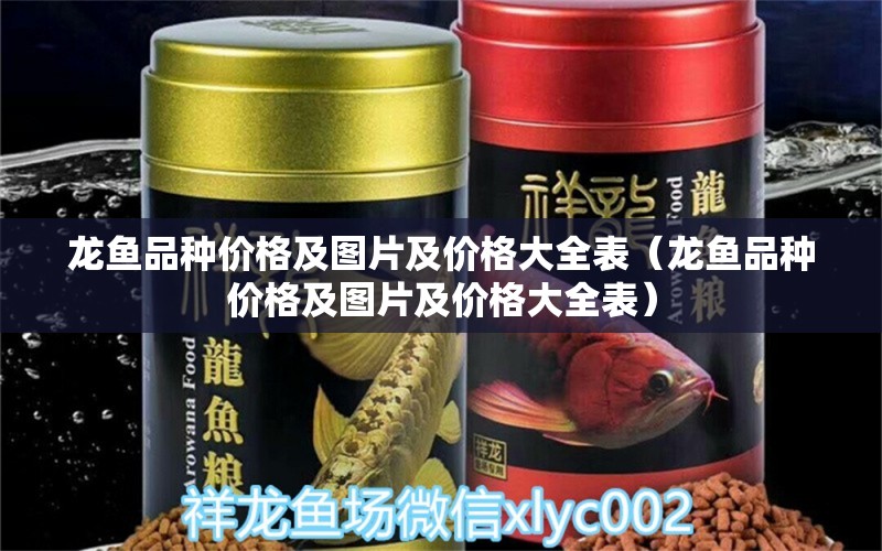 龍魚品種價格及圖片及價格大全表（龍魚品種價格及圖片及價格大全表） 龍魚疾病與治療