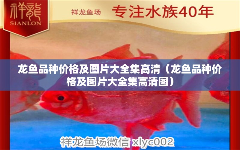 龍魚品種價格及圖片大全集高清（龍魚品種價格及圖片大全集高清圖） 龍魚疾病與治療