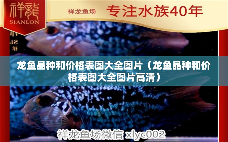 龍魚品種和價格表圖大全圖片（龍魚品種和價格表圖大全圖片高清） 龍魚疾病與治療