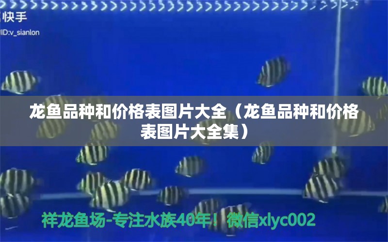 龍魚品種和價(jià)格表圖片大全（龍魚品種和價(jià)格表圖片大全集） 龍魚疾病與治療