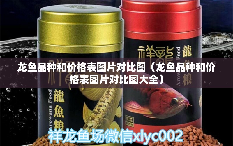 龍魚品種和價格表圖片對比圖（龍魚品種和價格表圖片對比圖大全）