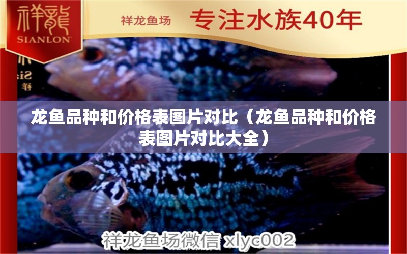 龍魚品種和價格表圖片對比（龍魚品種和價格表圖片對比大全） 龍魚疾病與治療