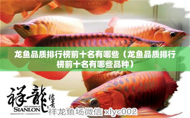 龍魚品質(zhì)排行榜前十名有哪些（龍魚品質(zhì)排行榜前十名有哪些品種） 龍魚疾病與治療