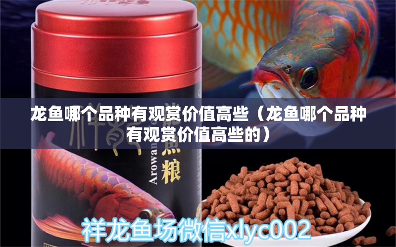 龍魚(yú)哪個(gè)品種有觀賞價(jià)值高些（龍魚(yú)哪個(gè)品種有觀賞價(jià)值高些的）