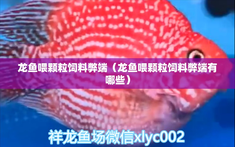 龍魚喂顆粒飼料弊端（龍魚喂顆粒飼料弊端有哪些） 眼斑魚