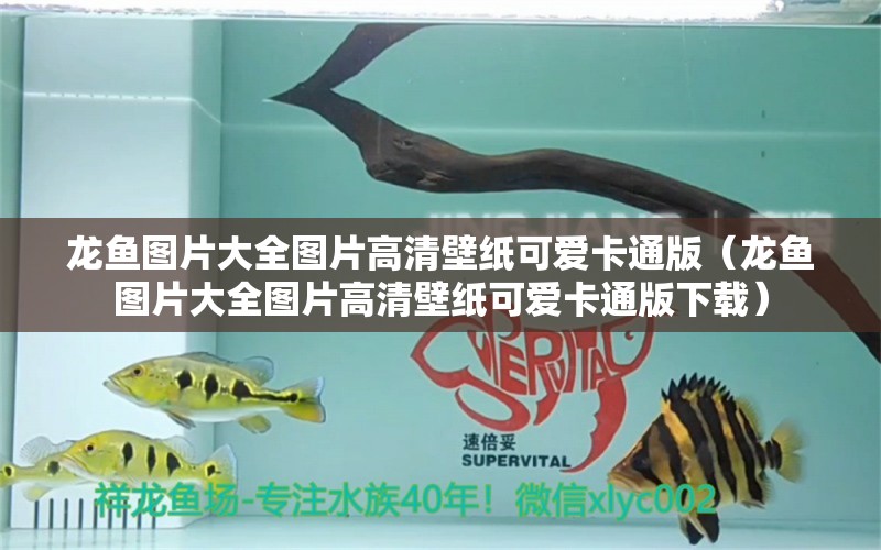 龍魚圖片大全圖片高清壁紙可愛卡通版（龍魚圖片大全圖片高清壁紙可愛卡通版下載） 廣州龍魚批發(fā)市場