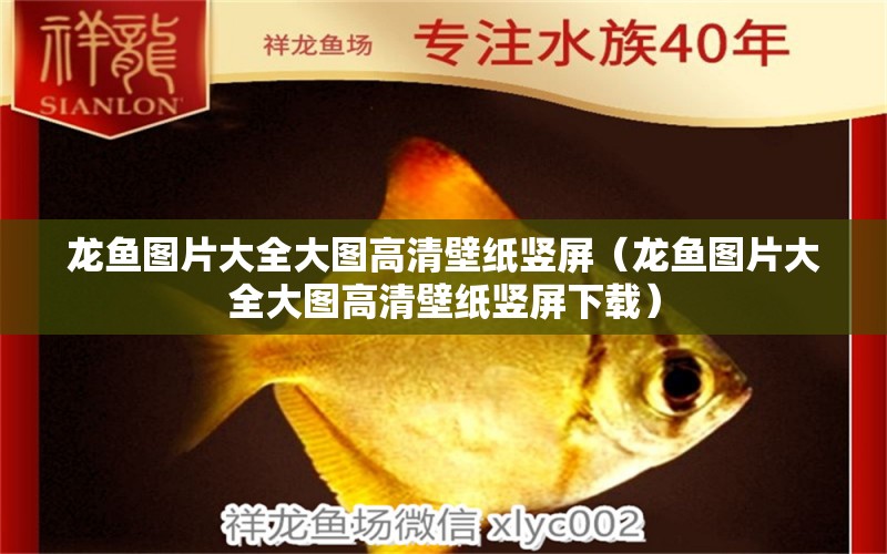 龍魚(yú)圖片大全大圖高清壁紙豎屏（龍魚(yú)圖片大全大圖高清壁紙豎屏下載）