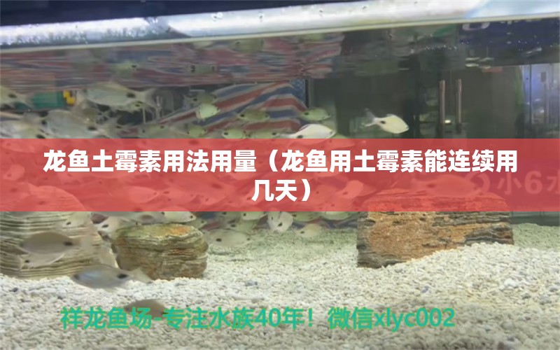 龍魚土霉素用法用量（龍魚用土霉素能連續(xù)用幾天）