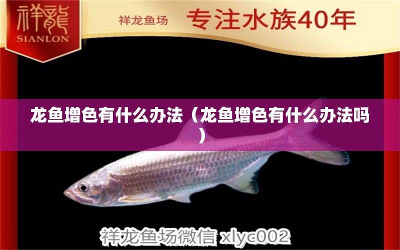 龍魚(yú)增色有什么辦法（龍魚(yú)增色有什么辦法嗎）