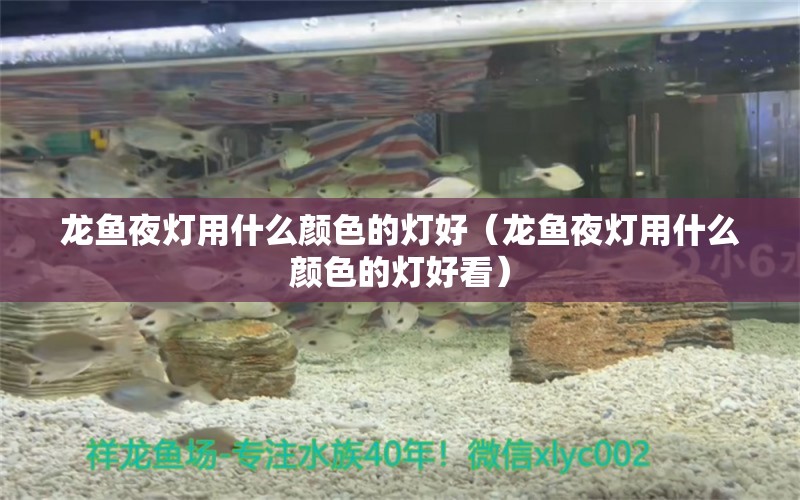 龍魚夜燈用什么顏色的燈好（龍魚夜燈用什么顏色的燈好看）