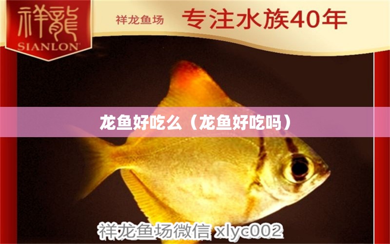 龍魚好吃么（龍魚好吃嗎）