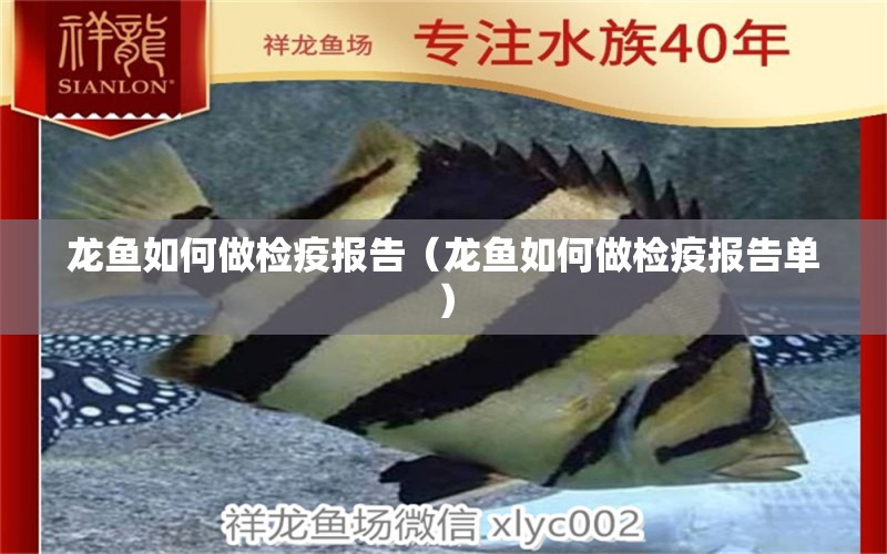 龍魚如何做檢疫報(bào)告（龍魚如何做檢疫報(bào)告單） 廣州龍魚批發(fā)市場