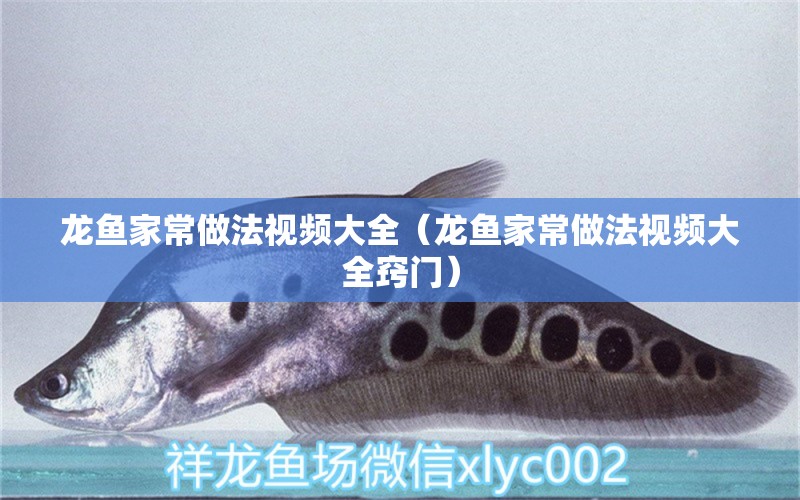 龍魚家常做法視頻大全（龍魚家常做法視頻大全竅門）