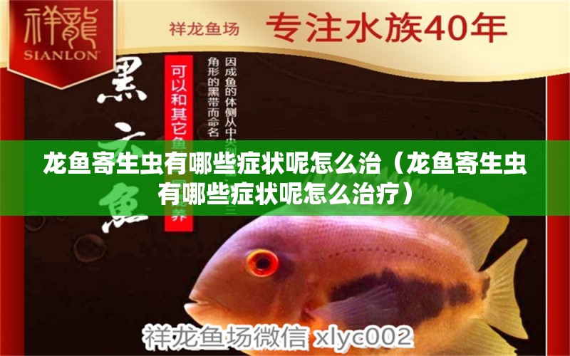 龍魚寄生蟲有哪些癥狀呢怎么治（龍魚寄生蟲有哪些癥狀呢怎么治療） 龍魚疾病與治療