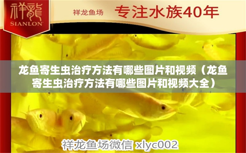 龍魚寄生蟲治療方法有哪些圖片和視頻（龍魚寄生蟲治療方法有哪些圖片和視頻大全）