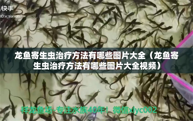 龍魚寄生蟲治療方法有哪些圖片大全（龍魚寄生蟲治療方法有哪些圖片大全視頻）