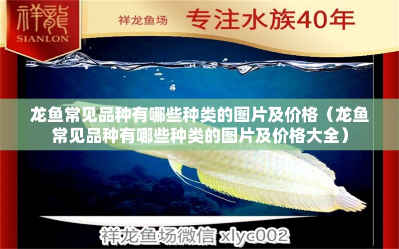 龍魚(yú)常見(jiàn)品種有哪些種類(lèi)的圖片及價(jià)格（龍魚(yú)常見(jiàn)品種有哪些種類(lèi)的圖片及價(jià)格大全） 龍魚(yú)疾病與治療