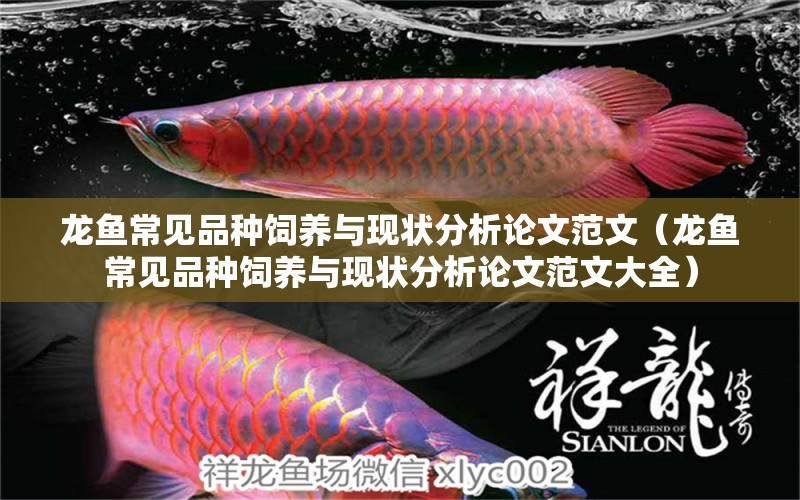 龍魚常見品種飼養(yǎng)與現(xiàn)狀分析論文范文（龍魚常見品種飼養(yǎng)與現(xiàn)狀分析論文范文大全） 龍魚疾病與治療