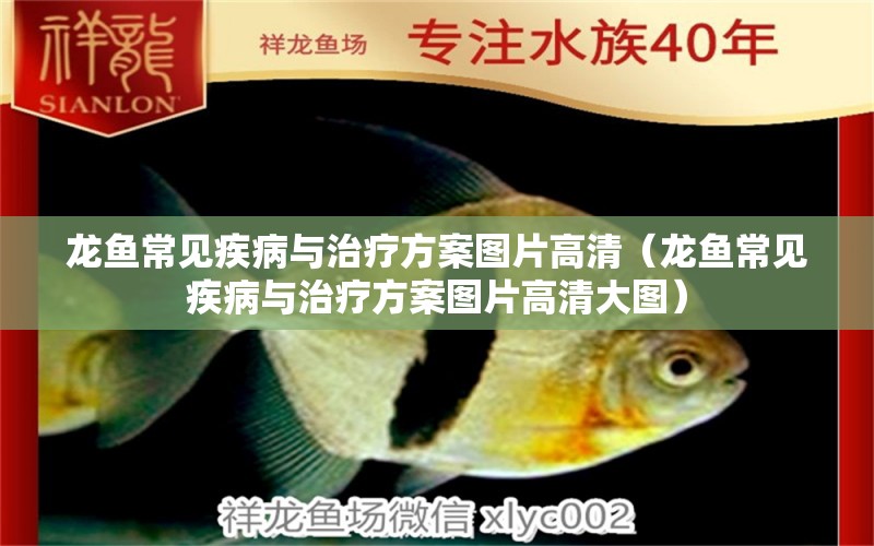 龍魚常見疾病與治療方案圖片高清（龍魚常見疾病與治療方案圖片高清大圖）