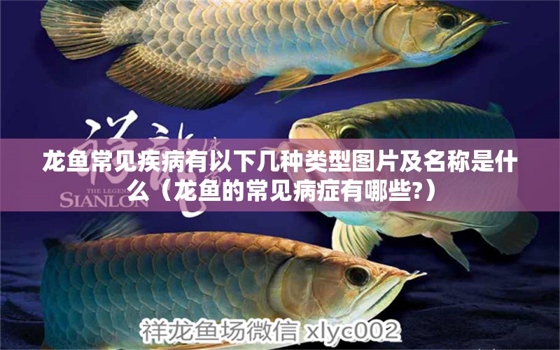 龍魚常見疾病有以下幾種類型圖片及名稱是什么（龍魚的常見病癥有哪些?）