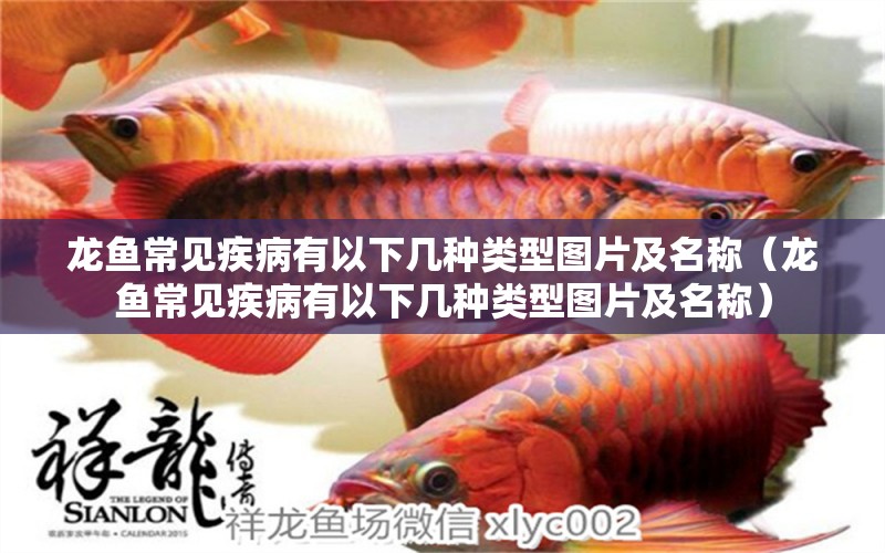 龍魚(yú)常見(jiàn)疾病有以下幾種類型圖片及名稱（龍魚(yú)常見(jiàn)疾病有以下幾種類型圖片及名稱） 龍魚(yú)疾病與治療