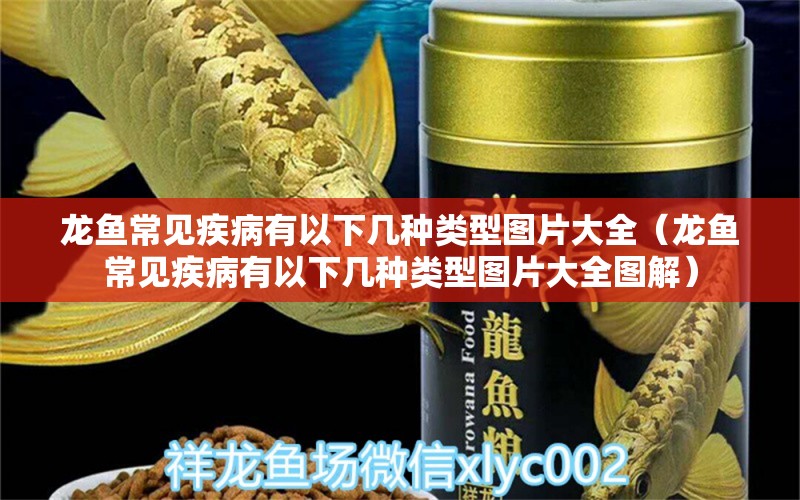 龍魚常見疾病有以下幾種類型圖片大全（龍魚常見疾病有以下幾種類型圖片大全圖解） 龍魚疾病與治療