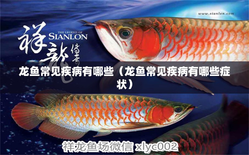 龍魚(yú)常見(jiàn)疾病有哪些（龍魚(yú)常見(jiàn)疾病有哪些癥狀） 龍魚(yú)疾病與治療