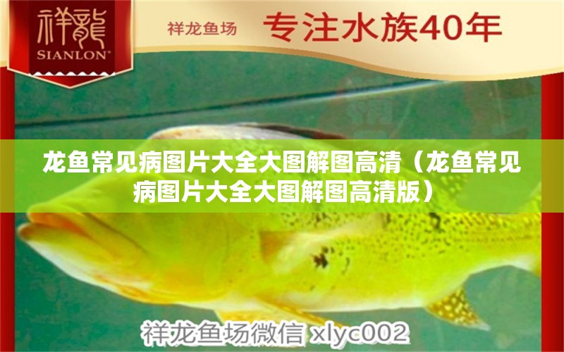 龍魚常見病圖片大全大圖解圖高清（龍魚常見病圖片大全大圖解圖高清版）