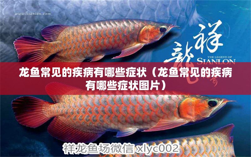 龍魚常見的疾病有哪些癥狀（龍魚常見的疾病有哪些癥狀圖片） 龍魚疾病與治療