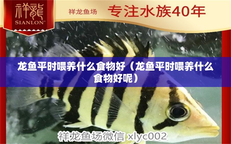 龍魚平時(shí)喂養(yǎng)什么食物好（龍魚平時(shí)喂養(yǎng)什么食物好呢） 廣州龍魚批發(fā)市場(chǎng)