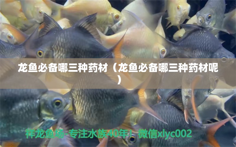 龍魚必備哪三種藥材（龍魚必備哪三種藥材呢）