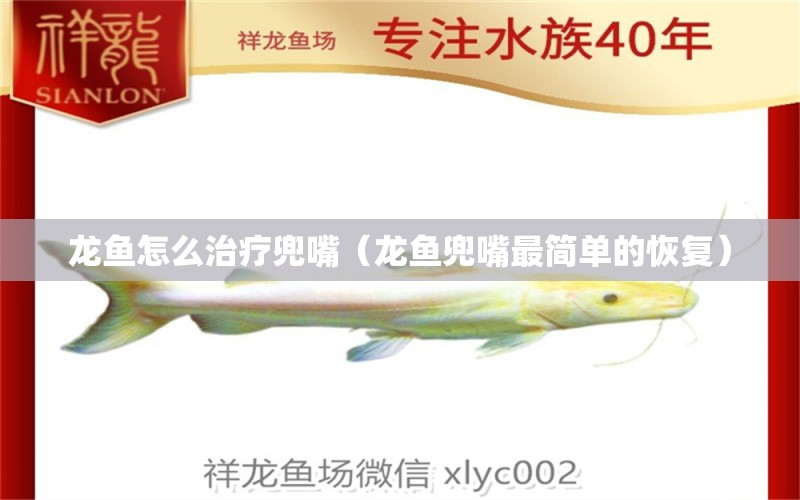 龍魚怎么治療兜嘴（龍魚兜嘴最簡單的恢復(fù)） 紅尾平克魚