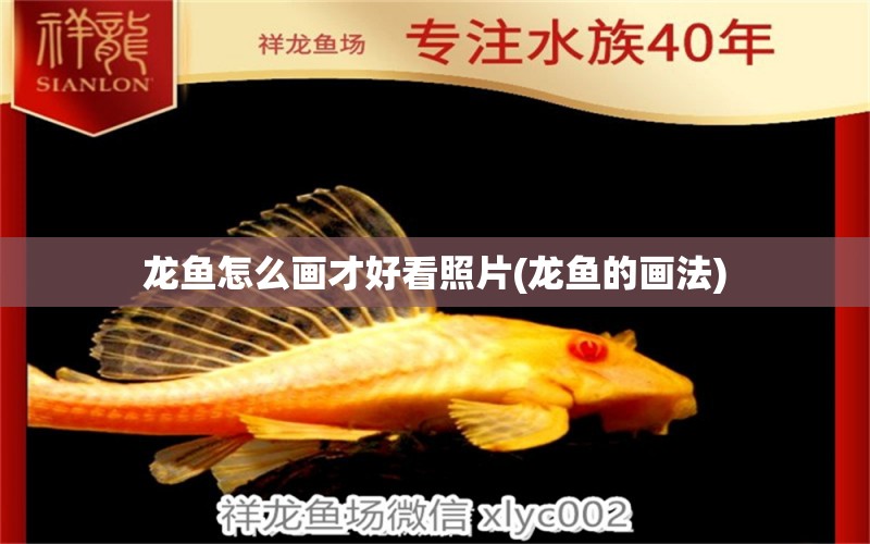 龍魚怎么畫才好看照片(龍魚的畫法) 虎紋銀版魚